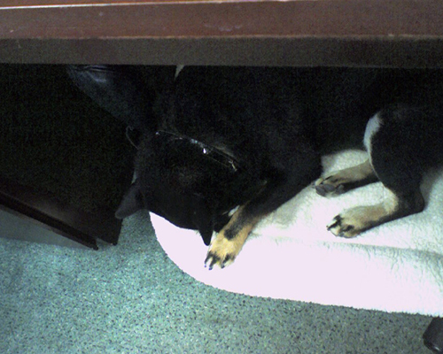 underdesk.jpg